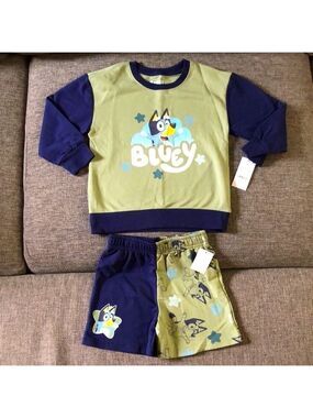 Moose Toddler Boys Bluey French Terry Top and Bottom Set Blue Green 5T